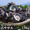 【ふるさと納税】コリ旨!獲れたて鮮度抜群 島獲れ活サザエ1.0kg満足セット - 磯の香りと海の恵みを食卓へ 冷蔵便 サザエ 栄螺 貝 海鮮 BBQ さざえご飯 壺焼き 刺身 バーベキュー ギフト お中元 御中元 島サザエ 新鮮 天然