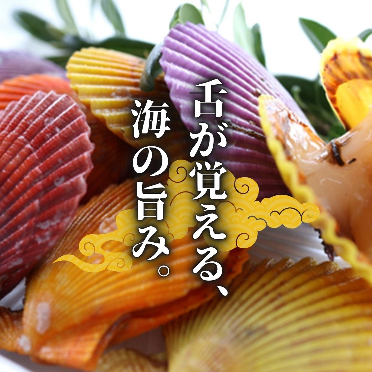 島根県西ノ島町の画像2