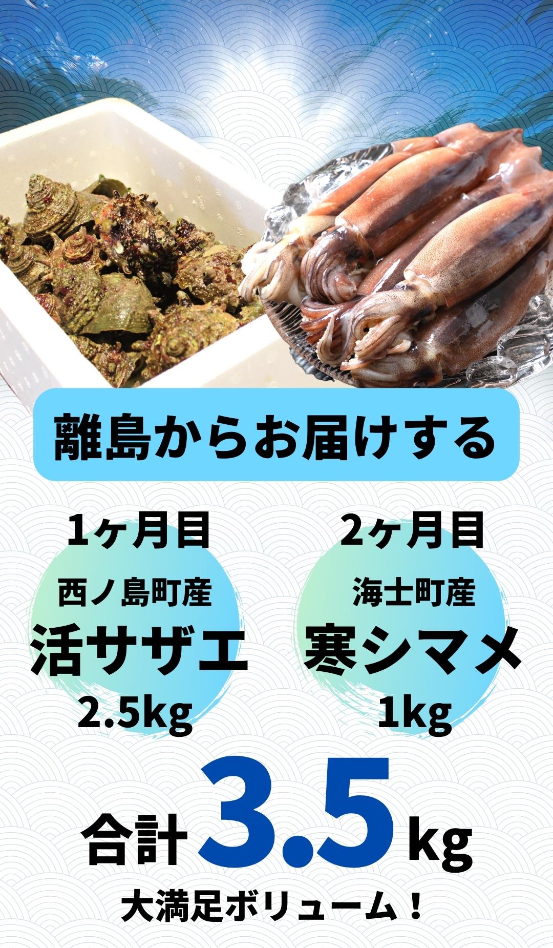 【ふるさと納税】活サザエ・寒シマメセット【海士町・西ノ島町コラボ返礼品】