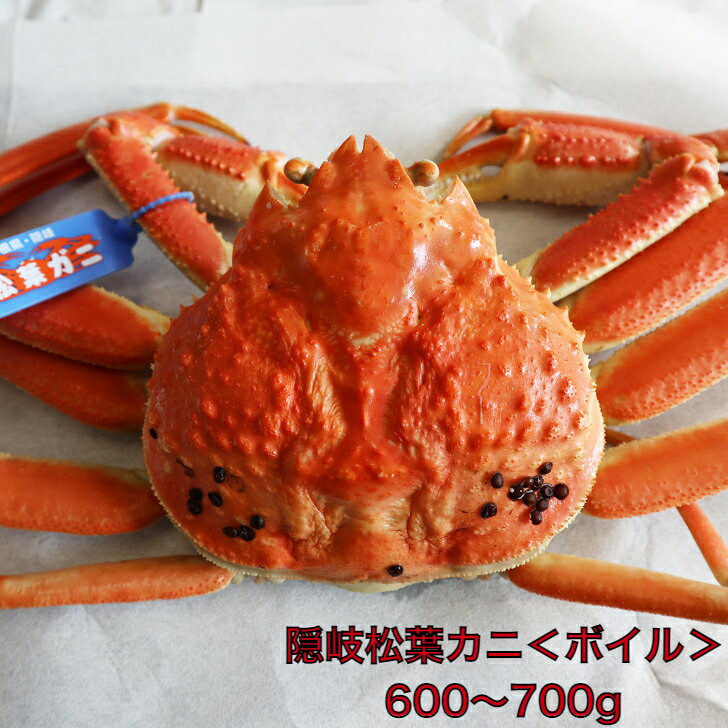 【ふるさと納税】 カニ 隠岐 松葉カニ 松葉ガニ 600～700g ボイル 蟹 かに