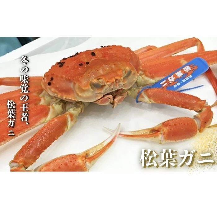 島根県西ノ島町の画像2