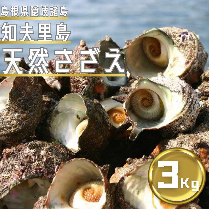 【ふるさと納税】知夫里島産　天然活さざえ　3kg