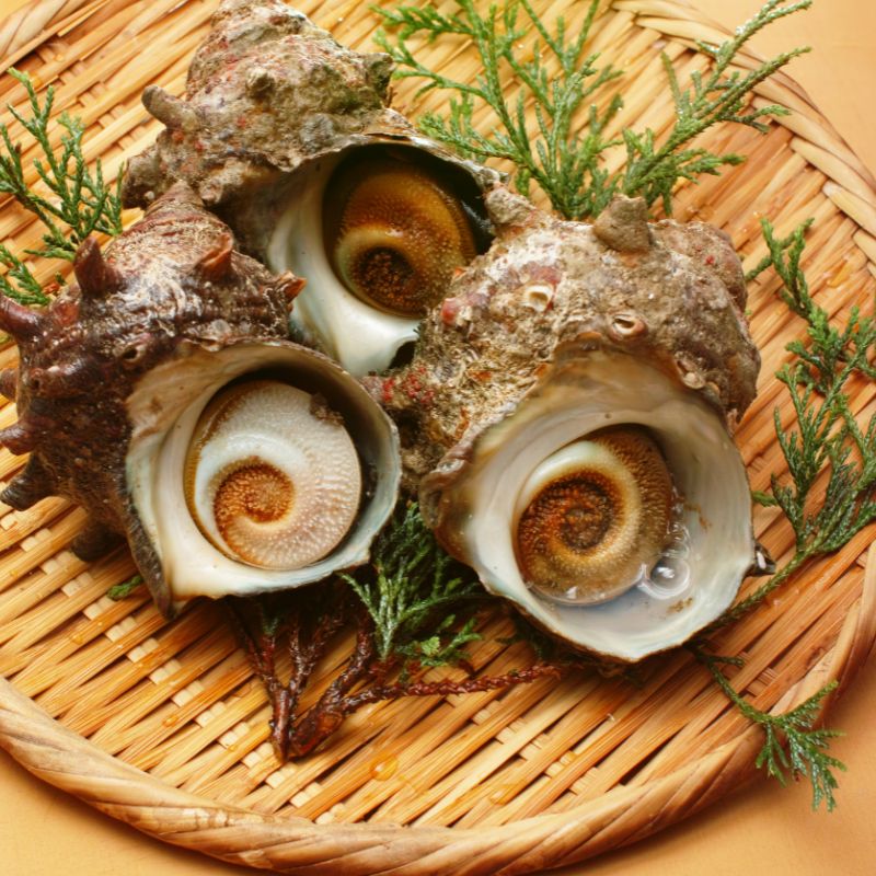 島根県知夫村の画像3