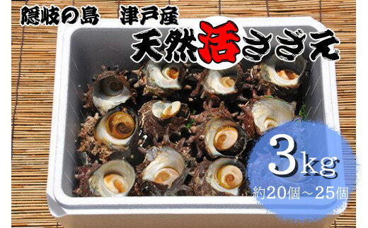 ڤդ뤵Ǽǡ۱Ÿͻŷ褵3kg
