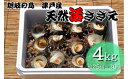 名称：活さざえ（天然） 内容量：4kg（25～30個程度） 産地名：島根県隠岐の島町 消費期限：発送日から3日程度　※お受け取り後はなるべく早くお召し上がりください。 保存方法：冷蔵庫で保存 隠岐の島町の西側に位置する津戸地区で獲れた天然の活さざえをお届けします。 津戸で獲れたさざえは、サイズも大きく、刺身でも、煮ても焼いても絶品です。 25～30個程度入ります※貝の大きさによって変動します。 さざえの禁漁期間となるため、7月中旬以降の発送となります。 ※消費期限が3日間程度となるため、発送日から4日以上お届けにかかる地域への発送はお断りさせていただきます。ご了承くださいませ。 【対象地域】北海道利尻郡・礼文郡、伊豆諸島青ヶ島村、小笠原諸島小笠原村、鹿児島県大島郡喜界町・鹿児島郡、沖縄県島尻郡北大東村・南大東村・宮古郡・八重山郡 【提供】 津戸酔ってきた会 ・ふるさと納税よくある質問はこちら ・寄付申込みのキャンセル、返礼品の変更・返品はできません。あらかじめご了承ください。「ふるさと納税」寄付金は、下記の事業を推進する資金として活用してまいります。 寄付を希望される皆さまの想いでお選びください。 (1) 青少年教育又は地域文化の振興に資する事業 (2) 医療又は保健・福祉の充実に資する事業 (3) 竹島の領土権の確立に資する事業 (4) 自然環境の保全・整備に資する事業 (5－1) ウルトラマラソン事業 (5－2) 隠岐の島町長が必要と認めた事業 特段のご希望がなければ、町政全般に活用いたします。