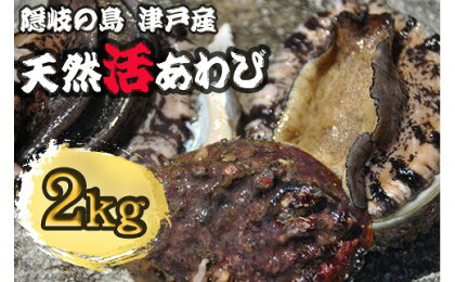 天然活あわび【隠岐の島津戸産】　2kg