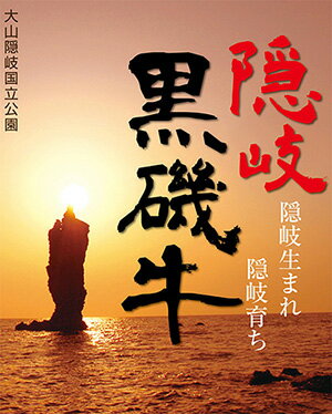 島根県隠岐の島町の画像3