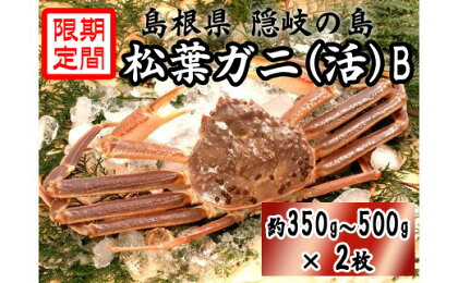 松葉ガニ 活 隠岐 カニ 蟹 約350g～500g×2枚