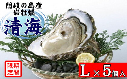 隠岐のいわがき「清海」L【5個セット】