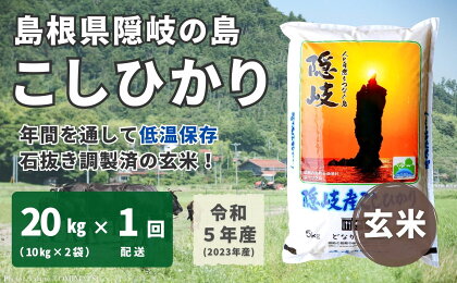 【令和5年産】隠岐産 こしひかり 玄米 20kg（10kg×2袋）