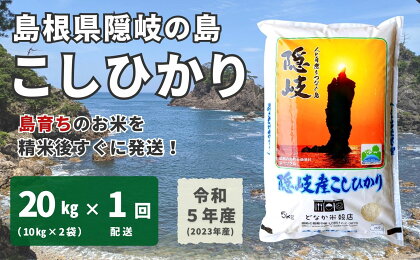 【令和5年産】隠岐産こしひかり20Kg（10Kg×2袋）