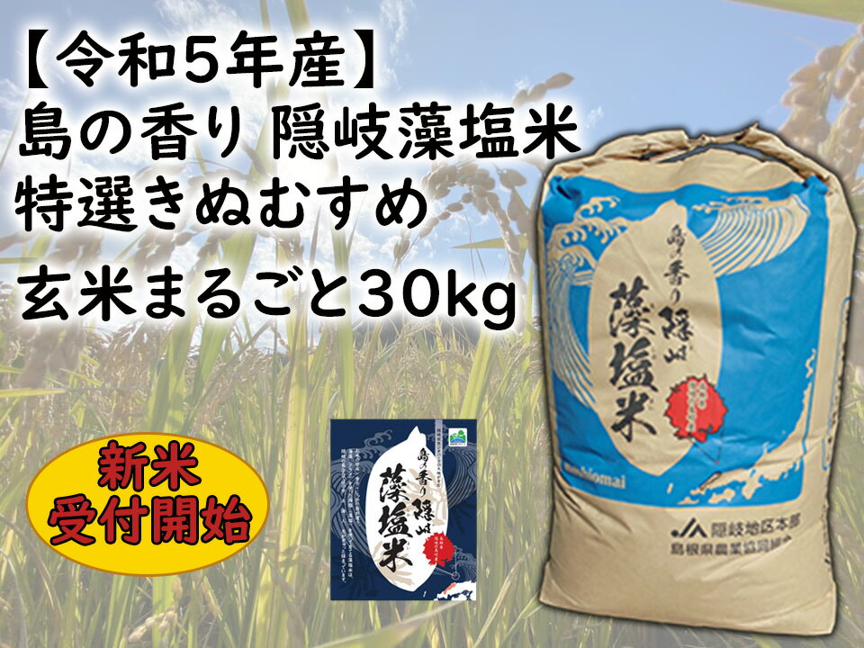 【ふるさと納税】【令和5年産】島の香り　隠岐藻塩米特選きぬむすめ玄米まるごと30kg