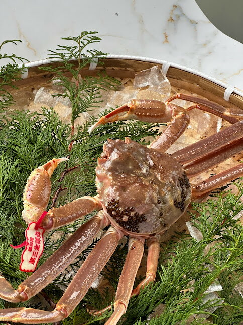 島根県隠岐の島町の画像3