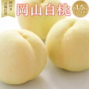 【ふるさと納税】桃 2025年 先行予約 岡山 白桃 5〜6玉入 約1.5kg 岡山市一宮地区産 もも モモ フルーツ 果物 ギフト | もも フルーツ 果物 ...