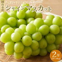 【ふるさと納税】ぶどう 2025年 先行予約 シャイン マスカット 2房(1房約700g) マスカット ブドウ 葡萄 岡山市産 国産 フルーツ 果物 ギフト |...