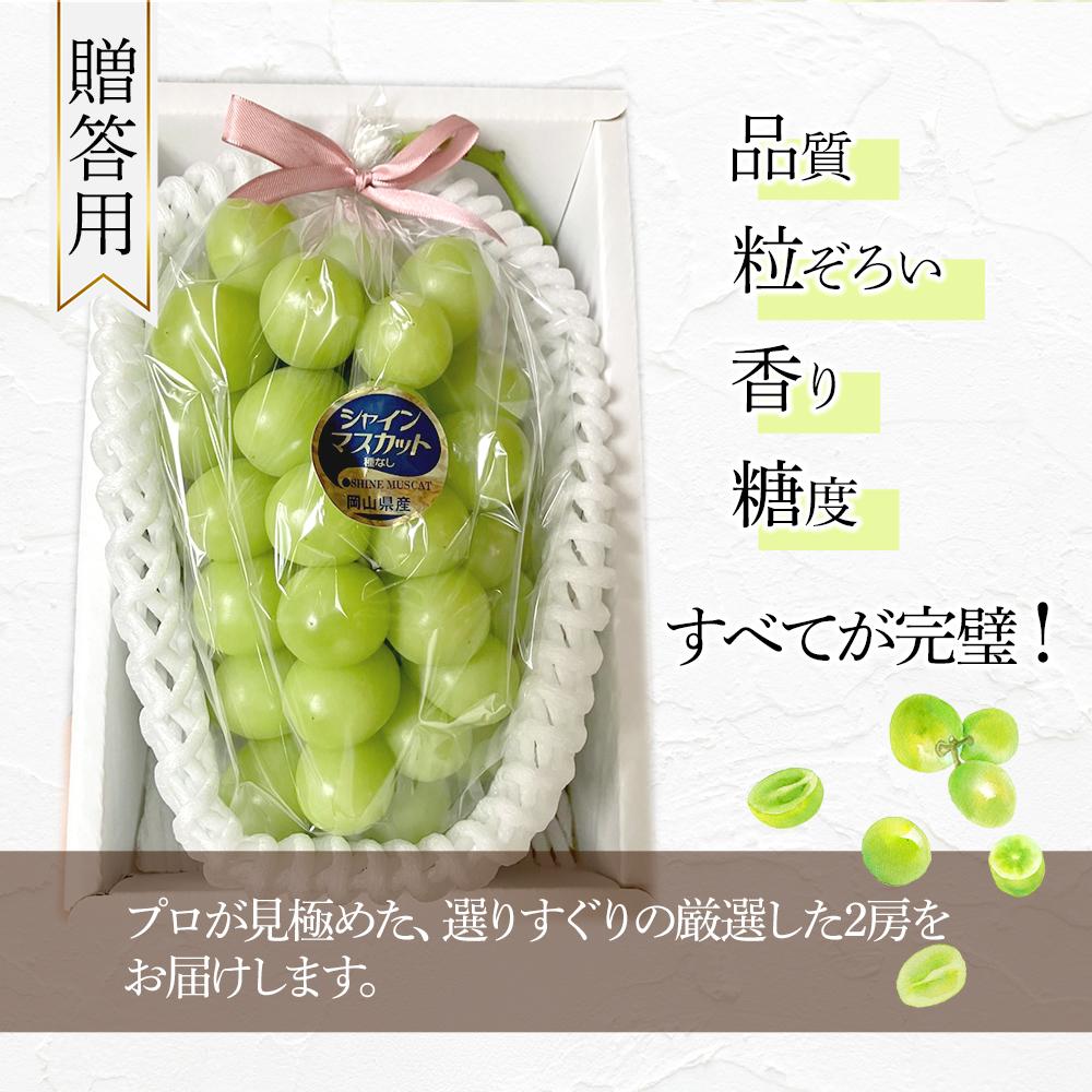 【ふるさと納税】岡山県産 高級 シャインマスカット 1.4kg以上 2房 贈答用＜2024年9月以降発送＞ | フルーツ 果物 くだもの 食品 人気 おすすめ 送料無料