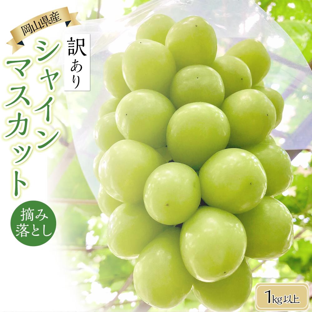 岡山県産 訳あり シャインマスカット 1kg以上 摘み落とし[2024年9月以降発送] | フルーツ 果物 くだもの 食品 人気 おすすめ 送料無料