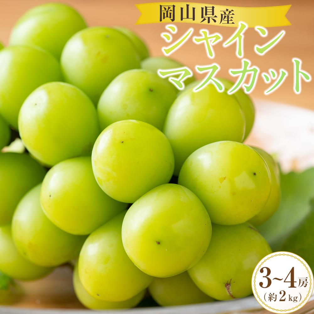 【ふるさと納税】ぶどう 2025年 岡山県産 シャインマスカット 3房~4房 約2kg 先行予約 贈答 ぶどう園AC | フルーツ 果物 くだもの 食品 人気 おすすめ 送料無料