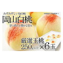 【ふるさと納税】桃 2025年 先行予約 岡山の白桃 250g以上×6玉 | 白桃 旬 みずみずしい 晴れの国 おかやま 岡山県産 フルーツ王国 果物王国 | もも フルーツ 果物 くだもの 食品 人気 おすすめ 送料無料
