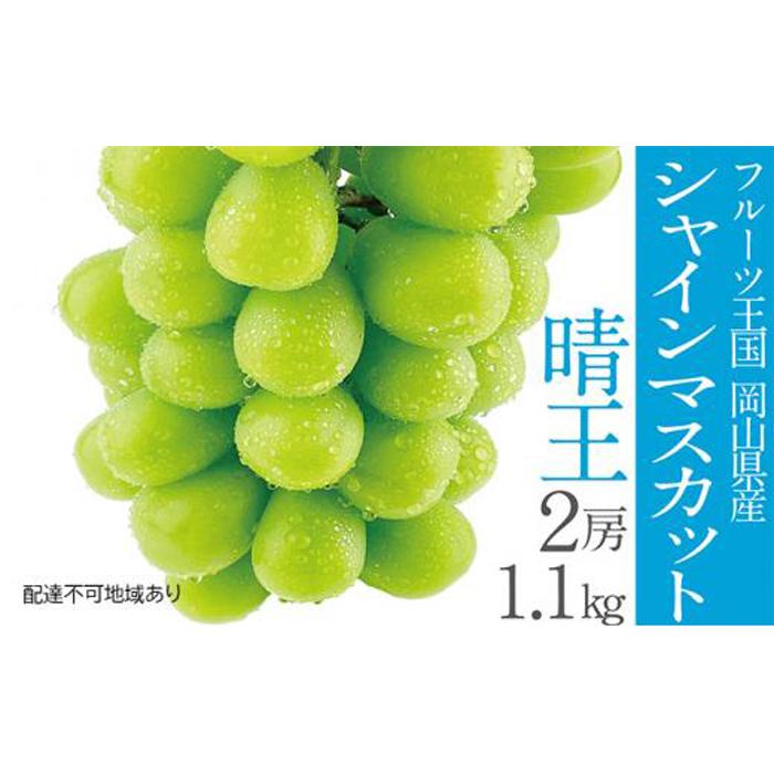 【ふるさと納税】ぶどう 2025年 先行予約 シャイン マスカット 晴王 2房 計約1.1kg | 晴れの国 おかやま 岡山県産 フルーツ王国 果物王国 | フルーツ 果物 くだもの 食品 人気 おすすめ 送料無料