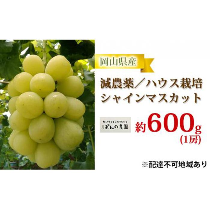 【ふるさと納税】ぶどう 2024年 先行予約 シャイン マスカット 1房 約600g 減農薬／ハウス栽培 ブドウ 葡萄 岡山県産 国産 フルーツ 果物 ギフト ばんの農園 [No.5220-0748] | フルーツ 果物 くだもの 食品 人気 おすすめ 送料無料