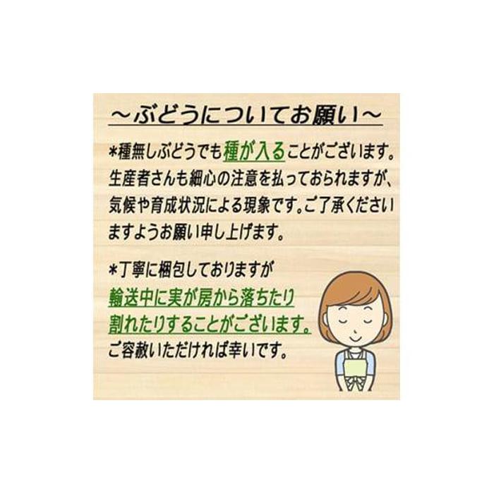 【ふるさと納税】ぶどう 2025年 先行予約 岡山 名産 晴王 シャイン マスカット たっぷり2kg！9月上旬以降順次発送 ギフトにも ブドウ 葡萄 岡山県産 国産 フルーツ 果物 | フルーツ 果物 くだもの 食品 人気 おすすめ