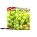 【ふるさと納税】ぶどう 2025年 先行予約 シャイン マスカット 【9月上旬~9月下旬頃発送】約2kg 糖度抜群! ブドウ 葡萄 岡山県産 国産 フルーツ 果物 ギフト | フルーツ 果物 くだもの 食品 人気 おすすめ 送料無料