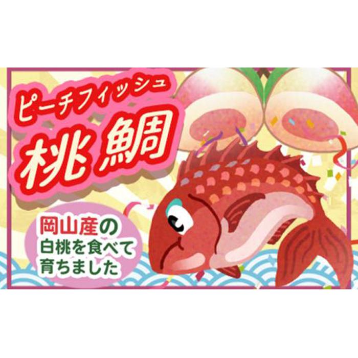 【ふるさと納税】桃鯛 お刺身セット 半身分【配達不可：離島】 [No.5220-1140] | 魚 お魚 さかな 食品 人気 おすすめ 送料無料