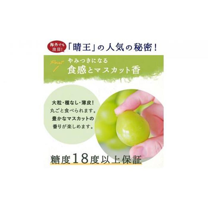 【ふるさと納税】ぶどう 2024年 先行予約 シャイン マスカット 晴王 3～5房 2kg前後 （10月上旬～11月下旬発送分） ブドウ 葡萄 岡山県産 国産 フルーツ 果物 ギフト [No.5220-0924] | フルーツ 果物 くだもの 食品 人気 おすすめ