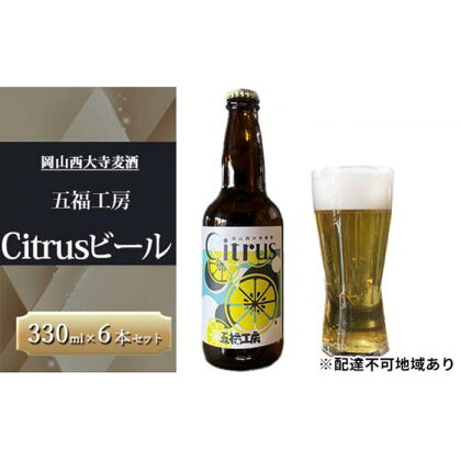 発泡酒 Citrus ビール 6本 セット フルーツエール ホップ お酒 岡山西大寺麦酒 五福工房 岡山市 [No.5220-1380] | お酒 さけ 人気 おすすめ 送料無料 ギフト