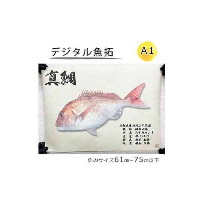 13位! 口コミ数「0件」評価「0」デジタル魚拓 A1サイズ オーダーメイド 和紙 フィッシング 釣り 魚拓[No.5220-1562] | 植物 プランター 人気 おすすめ ･･･ 