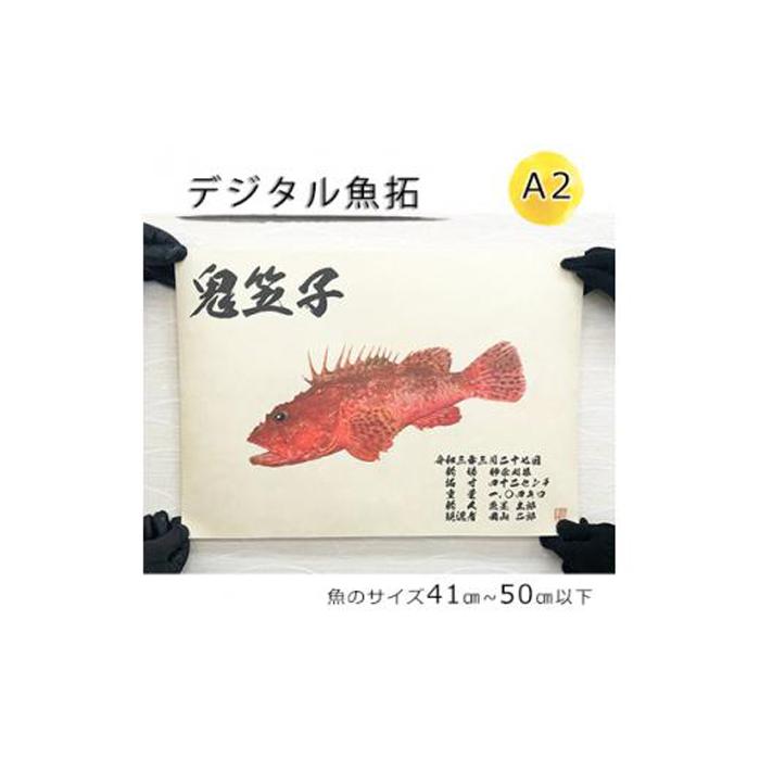 4位! 口コミ数「0件」評価「0」デジタル魚拓 A2サイズ オーダーメイド 和紙 フィッシング 釣り 魚拓[No.5220-1563] | 植物 プランター 人気 おすすめ ･･･ 