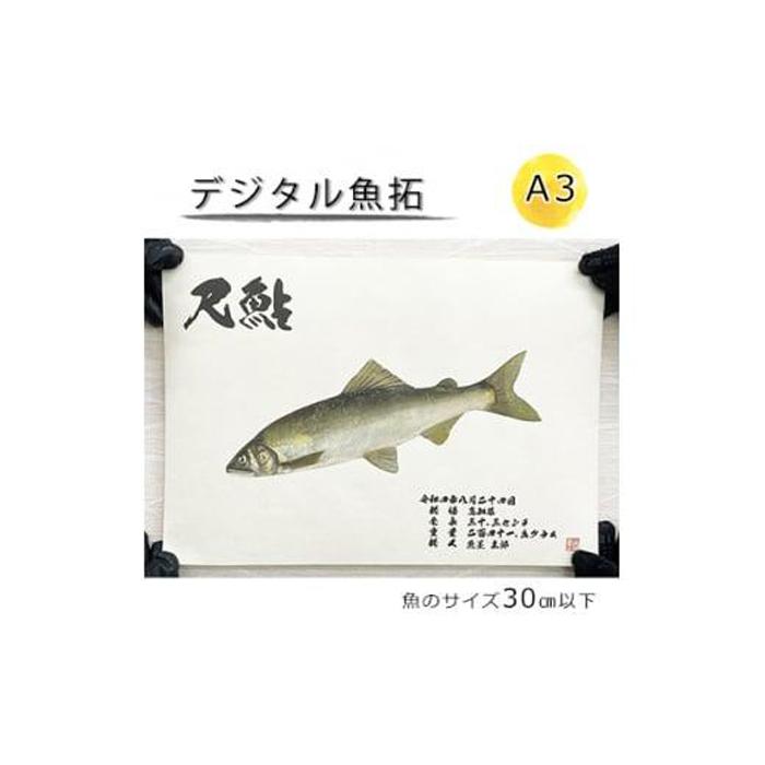 22位! 口コミ数「0件」評価「0」デジタル魚拓 A3サイズ オーダーメイド 和紙 フィッシング 釣り 魚拓[No.5220-1564] | 植物 プランター 人気 おすすめ ･･･ 