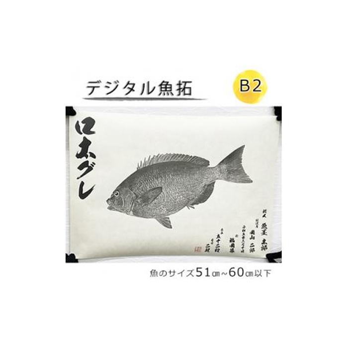 5位! 口コミ数「0件」評価「0」デジタル魚拓 B2サイズ オーダーメイド 和紙 フィッシング 釣り 魚拓[No.5220-1566] | 植物 プランター 人気 おすすめ ･･･ 