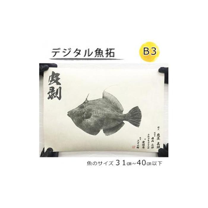 20位! 口コミ数「0件」評価「0」デジタル魚拓 B3サイズ オーダーメイド 和紙 フィッシング 釣り 魚拓[No.5220-1567] | 植物 プランター 人気 おすすめ ･･･ 