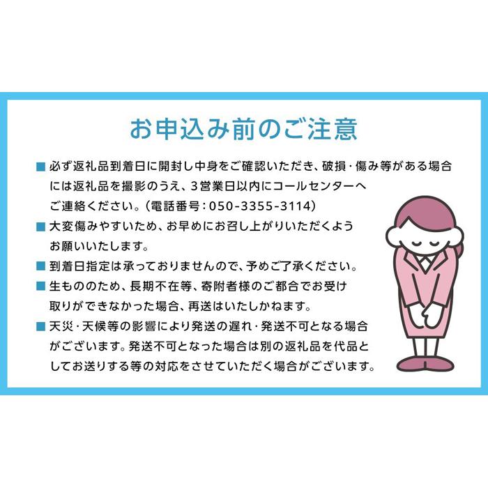 【ふるさと納税】ぶどう 2024年 先行予約 特選 ニュー ピオーネ 1房 約600g ブドウ 葡萄 岡山県産 国産 フルーツ 果物 ギフト いろは堂 [No.5220-1647] | フルーツ 果物 くだもの 食品 人気 おすすめ 送料無料 3