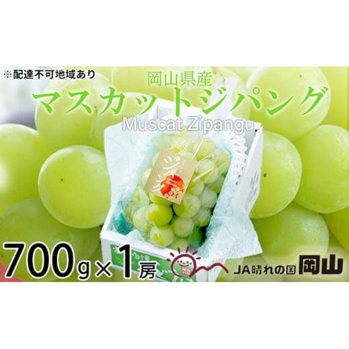 【ふるさと納税】ぶどう 2025年 先行予約 マスカット ジパング 約700g×1房 ブドウ 葡萄 岡山県産 国産 フルーツ 果物 ギフト | フルーツ 果物 くだもの 食品 人気 おすすめ 送料無料