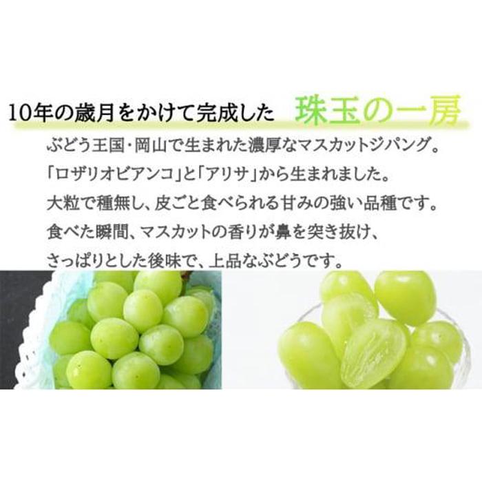 【ふるさと納税】ぶどう 2024年 先行予約 マスカット ジパング 約700g×1房 ブドウ 葡萄 岡山県産 国産 フルーツ 果物 ギフト[No.5220-1445] | フルーツ 果物 くだもの 食品 人気 おすすめ 送料無料