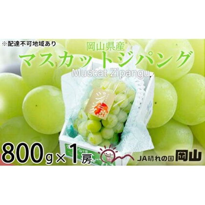 ぶどう 2024年 先行予約 マスカット ジパング 約800g×1房 ブドウ 葡萄 岡山県産 国産 フルーツ 果物 ギフト[No.5220-1446] | フルーツ 果物 くだもの 食品 人気 おすすめ 送料無料