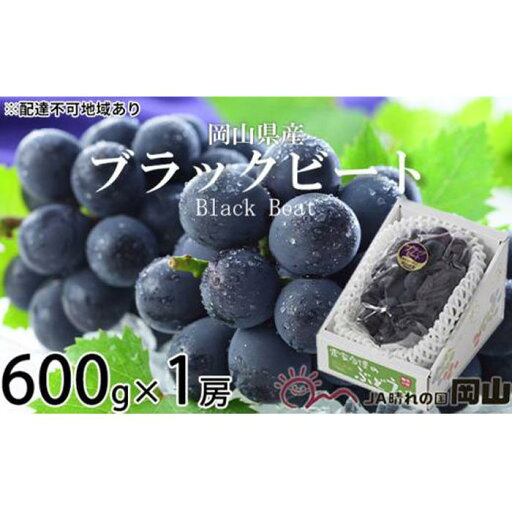 【ふるさと納税】ぶどう 2025年 先行予約 ブラックビート 約600g×1房 ブドウ 葡萄 岡山県産 国産 フルーツ 果物 ギフト | フルーツ 果物 くだもの 食品 人気 おすすめ 送料無料 【ふるさと納税】ぶどう 2025年 先行予約 ブラックビート 約600g×1房 ブドウ 葡萄 岡山県産 国産 フルーツ 果物 ギフト | フルーツ 果物 くだもの 食品 人気 おすすめ 送料無料