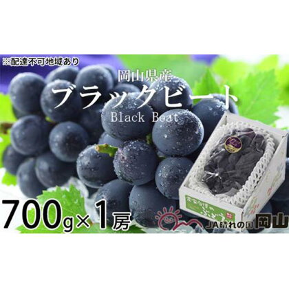 ぶどう 2024年 先行予約 ブラックビート 約700g×1房 ブドウ 葡萄 岡山県産 国産 フルーツ 果物 ギフト[No.5220-1449] | フルーツ 果物 くだもの 食品 人気 おすすめ 送料無料