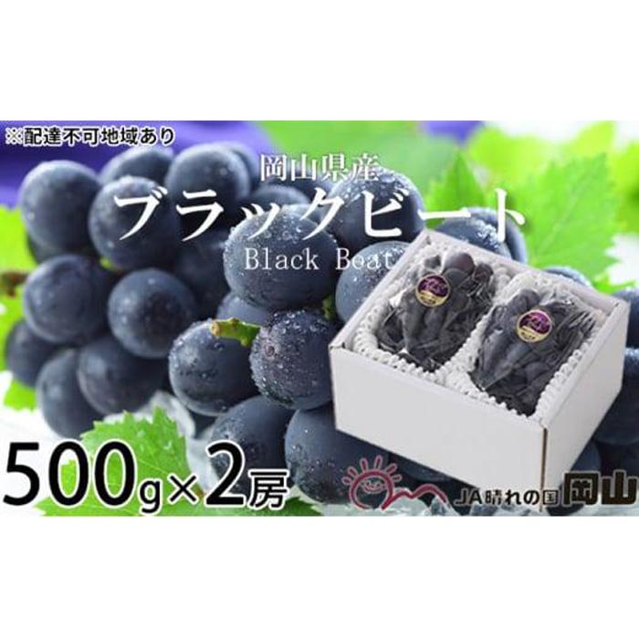 【ふるさと納税】ぶどう 2024年 先行予約 ブラックビート 約500g×2房 ブドウ 葡萄 岡山県産 国産 フルーツ 果物 ギフト[No.5220-1451] | フルーツ 果物 くだもの 食品 人気 おすすめ 送料無料