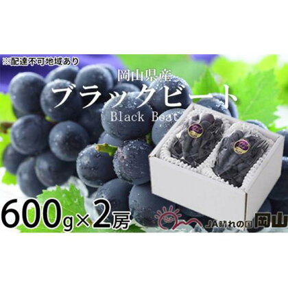 ぶどう 2024年 先行予約 ブラックビート 約600g×2房 ブドウ 葡萄 岡山県産 国産 フルーツ 果物 ギフト[No.5220-1452] | フルーツ 果物 くだもの 食品 人気 おすすめ 送料無料