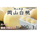 【ふるさと納税】桃 2025年 先行予約 岡山 白桃 エース 3玉×約300g(3Lサイズ)JAおかやまのもも(早生種・中生種) もも モモ 岡山県産 国産 フルーツ 果物 ギフト | もも フルーツ 果物 くだもの 食品 人気 おすすめ