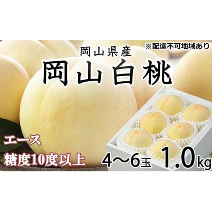 【ふるさと納税】桃 2025年 先行予約 岡山 白桃 エース 4~6玉 約1kg JAおかやまのもも(早生種・中生種) もも モモ 岡山県産 国産 フルーツ 果物 ギフト | もも フルーツ 果物 くだもの 食品 人気 おすすめ 送料無料