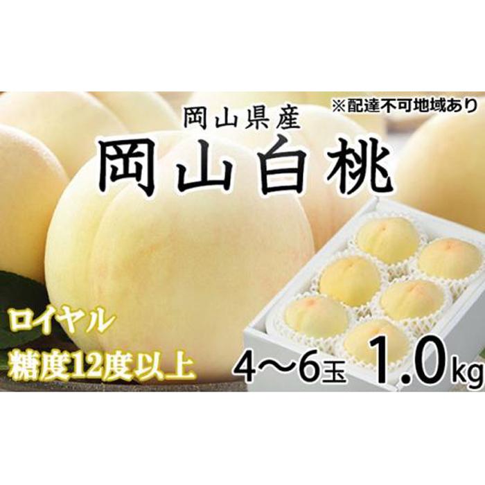 桃 2024年 先行予約 岡山 白桃 ロイヤル 4〜6玉 約1kg JAおかやまのもも(早生種・中生種) もも モモ 岡山県産 国産 フルーツ 果物 ギフト | もも フルーツ 果物 くだもの 食品 人気 おすすめ 送料無料