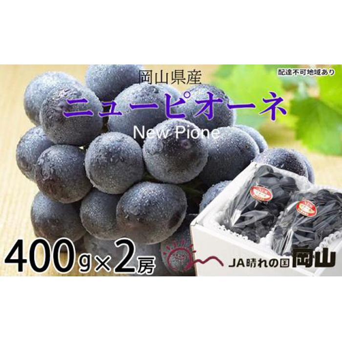 【ふるさと納税】ぶどう 2025年 先行予約 ニュー ピオーネ 約400g×2房 ブドウ 葡萄 岡山県産 国産 フルーツ 果物 ギフト | フルーツ 果物 くだもの 食品 人気 おすすめ 送料無料