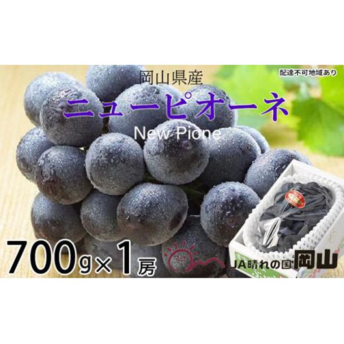 【ふるさと納税】ぶどう 2025年 先行予約 ニュー ピオーネ 約700g×1房 ブドウ 葡萄 岡山県産 国産 フルーツ 果物 ギフト | フルーツ 果物 くだもの 食品 人気 おすすめ 送料無料