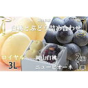 【ふるさと納税】桃 ぶどう 2025年 先行予約 岡山 白桃 ロイヤル 2玉×約300g(3Lサイズ、早生種・中生種)ニュー ピオーネ 1房約600g 詰め合わ...