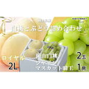 【ふるさと納税】桃 ぶどう 2025年 先行予約 岡山 白桃 ロイヤル 2玉×約250g(2Lサイズ、早生種・中生種) シャイン マスカット 晴王 1房約500...